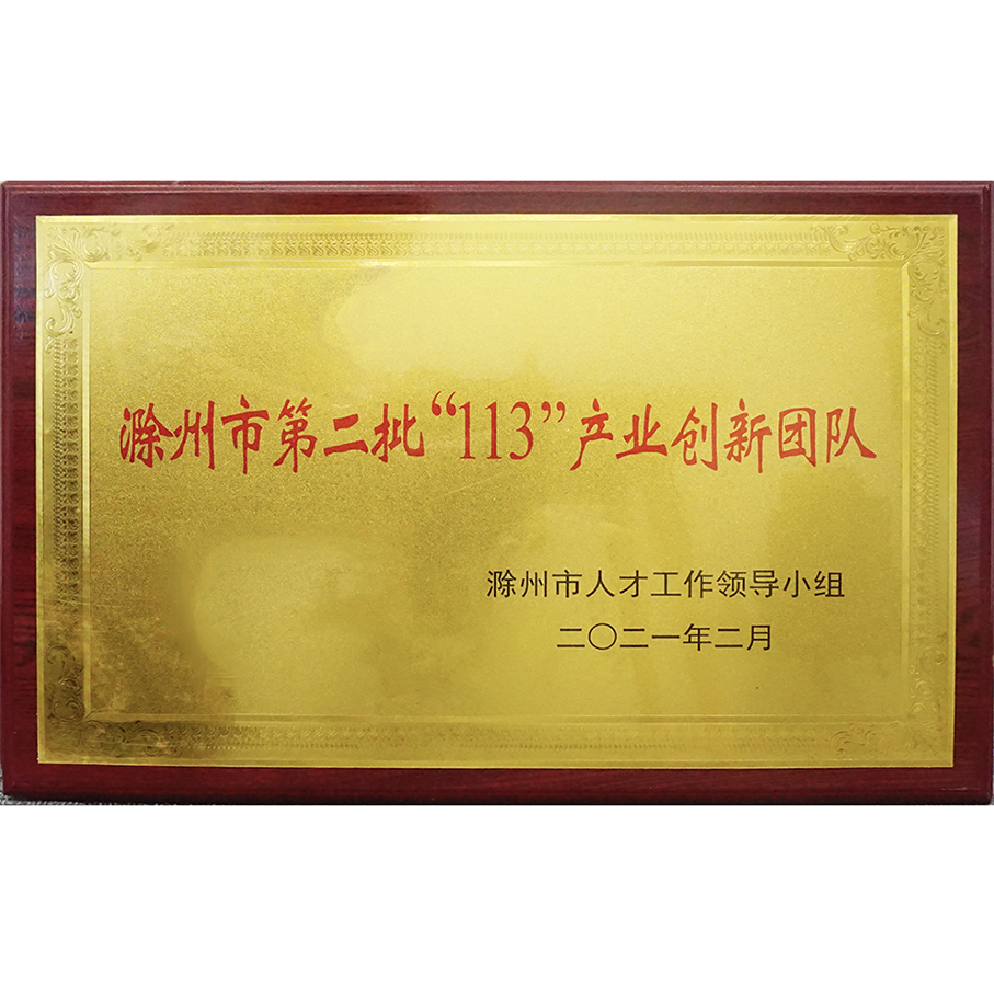 滁州市第二批113產業創新團隊